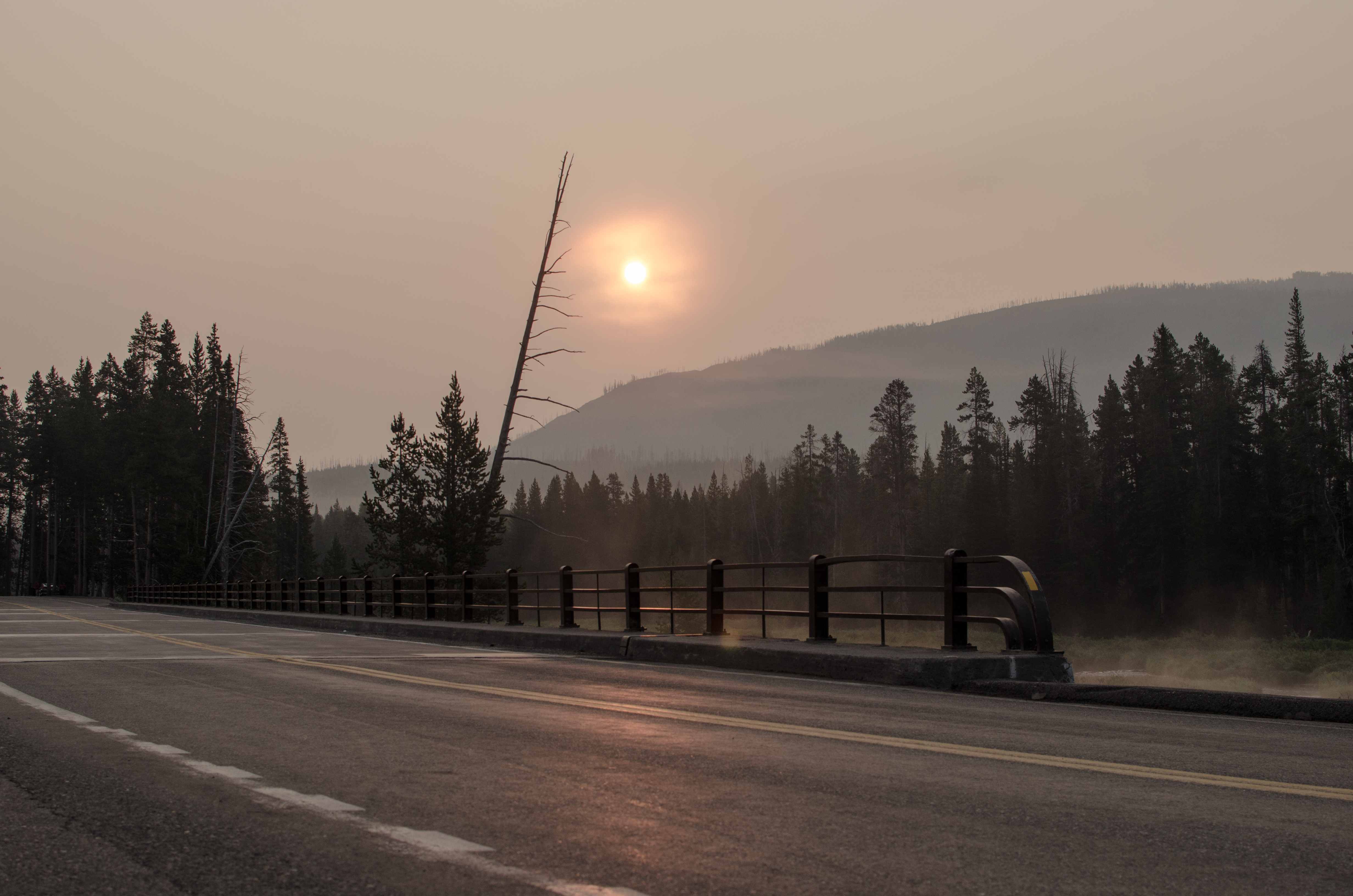 Yellowstone Morning